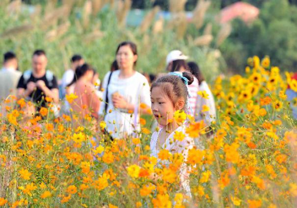 ���A���_�M���S������o��(sh��)����ǰ���p��������ʮ�����p����������DƬ�����Lɳ���ȫý�wӛ�� �R�ı� �z