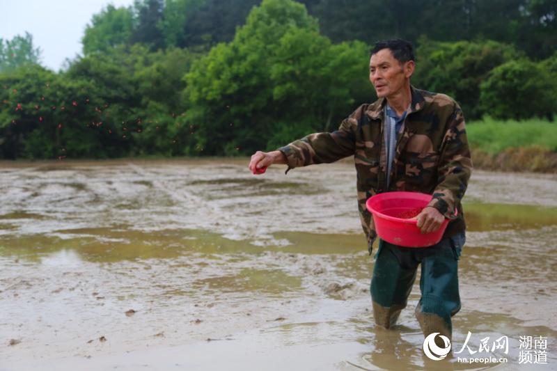 �r�������g���N��