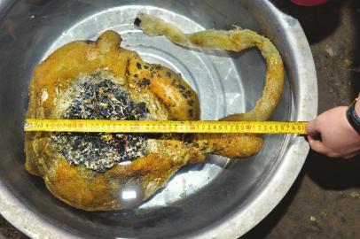 �Ĵ�����������̫�q�� ��ι�|���Ҳ�����