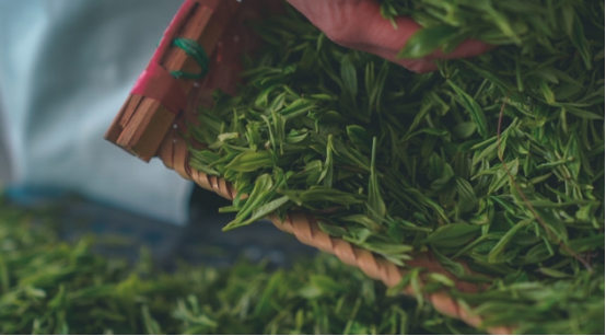 �I�蹝(ji��)��2021���������}�zӰ��(ji��)���冢��