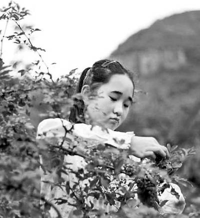 ������Ů�����Ą�־����߼t�W(w��ng)�j(lu��)