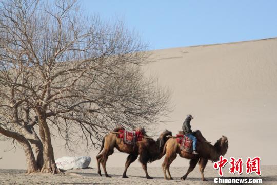 敦煌鳴沙山月牙泉景區(qū)指紋識別購票后3天內(nèi)可多次游覽
