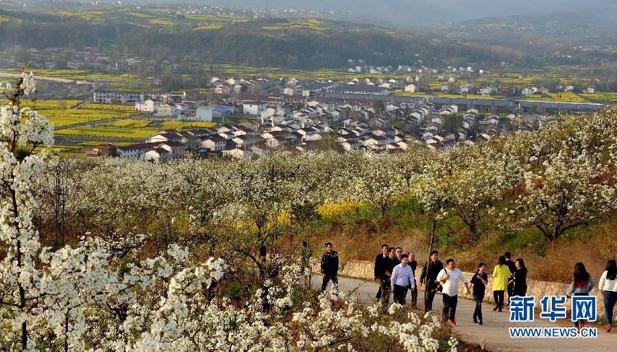 �����(hu��)����3�������h���f(w��n)���滨ӭ�e��