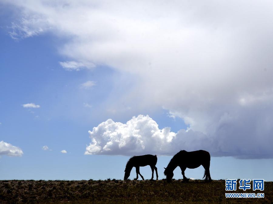 #�����B(t��i)����1�����쵽��ԭ������