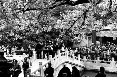 點(diǎn)擊進(jìn)入下一頁(yè)