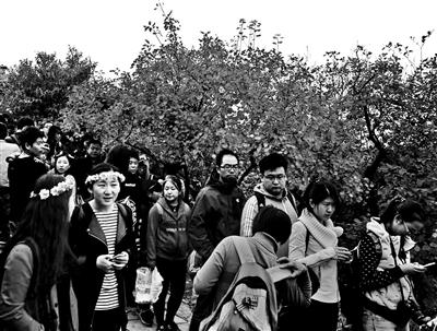 點(diǎn)擊進(jìn)入下一頁(yè)