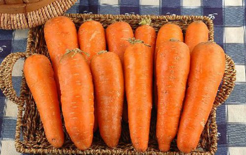 �X�׽�������������@15�N��Ȼʳ������a�X��