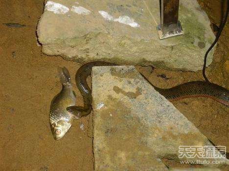 ����ҹ����߅��~ ͻ�l(f��)һĻ׌��������