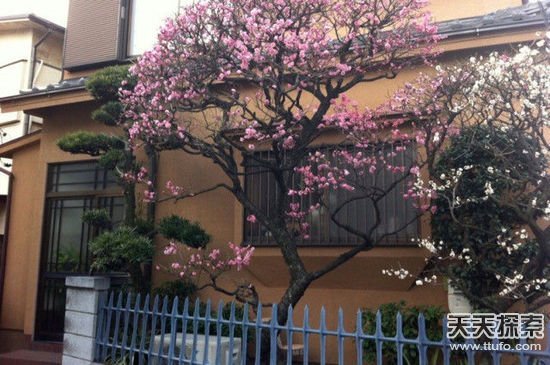 ����˼�h���ձ�׌������@�@��28��(g��)��(x��)�T