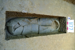 �������п��Űl(f��)�F(xi��n)������(zh��n)���z��h���ų�¶����