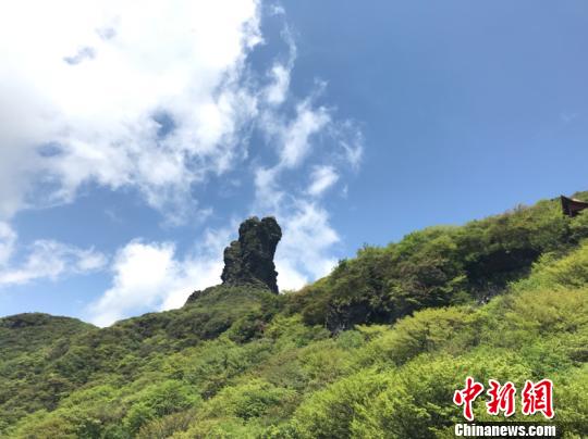 �Ї��L���������оGɫ����ጷš����B(t��i)�t����