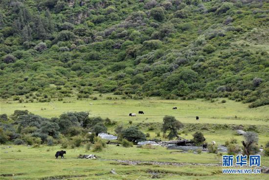 �������Ї�(gu��)����1�����ظ�ؕ�ϣ��B(y��ng)�����|��δ�R(sh��)