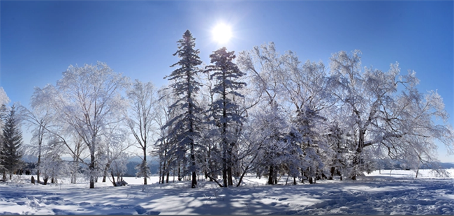 �ֺ�ѩԭ�L(f��ng)����