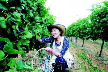 ��ժ�@��(n��i)�x�߸��ܵ��˲�ժ�Ę�Ȥ��