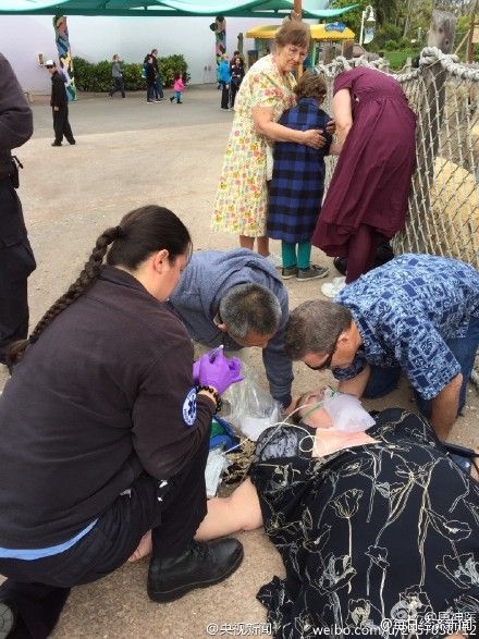 �Ї��ο��������ȵ����ο� ���@����Ϊ�������