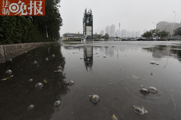 #�������(b��o)��Ӎ#(ӛ�������� �zӰ����)��(du��)������ˮ����ĭ�Ć��}��֮ǰý�w��(b��o)���Q���Ќ��ұ�ʾ����������?y��n)��L(zh��ng)�r(sh��)�g��������·��ضȺܸߡ�������֮���������Ͼ͕�(hu��)�К��w����(l��i)������͕�(hu��)�К�������������ĭ���䌍(sh��)�����B��Ƭ���؄e��(x��)�Ě�������һͣ�͛]������Ȼ���������������^������ӛ�����p܉�K�c(di��n)վ����һ�K��δ����܇�뉺�^�ķeˮ�п�����ÿ��(d��ng)��ˮ�Ώ��Ϸ���ľ���۵���eˮ�r(sh��)���͕�(hu��)�����S���̖(h��o)�Ě��ݣ�ֱ����2-3�������� �����Һܲ�����©���ƺ�ˮ�|(zh��)����һ����ճ�����ͬ�r(sh��)ӛ�����Ĕz��Ƭ�r(sh��)��һЩˮ��մ����Ƥ�ϣ���(hu��)�зN�����ĸ��X��