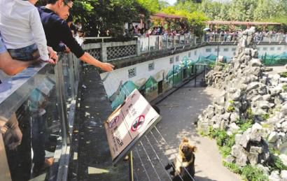 2�����ɶ���(d��ng)��@���οͲ��ֹ��(bi��o)�Z(y��)���������(d��ng)��ιʳ��