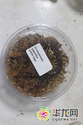 ���ث@�������