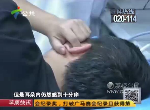 �@�֣����Ӷ���(n��i)�L(zh��ng)�M��ɫ���x��˺ҧ����ʹ��������