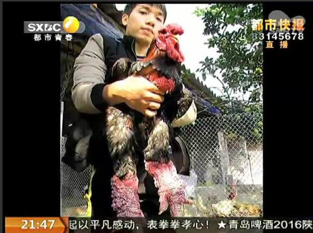 �L(zh��ng)���^(q��)һ���B(y��ng)ֳ��(ch��ng)���F(xi��n)һ����Ҋ(ji��n)���u���@Щ�u�p�ȴִ�����|���u����(l��i)��Խ���������a(ch��n)�u���������|(zh��)����������ͨ�u�ăɱ��������е�һֻ���u�������u(m��i)��һ�f(w��n)�����������