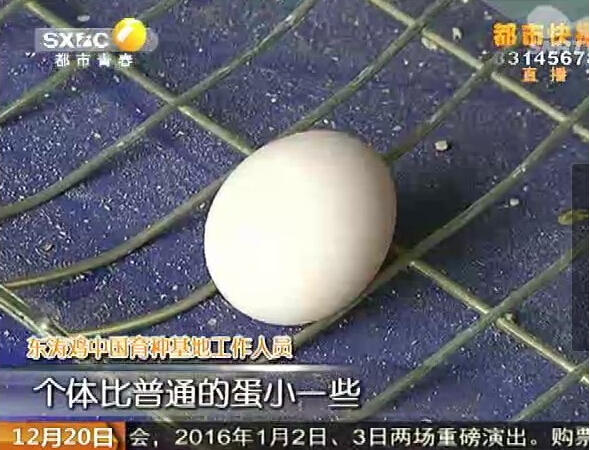 �L(zh��ng)���^(q��)�B(y��ng)ֳ��(ch��ng)���F(xi��n)��Ҋ(ji��n)�u ���ȹ��u��r(ji��)һ�f(w��n)��