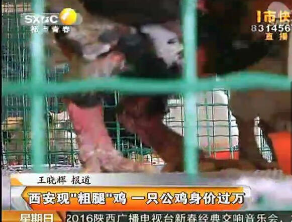 �L(zh��ng)���^(q��)�B(y��ng)ֳ��(ch��ng)���F(xi��n)��Ҋ(ji��n)�u ���ȹ��u��r(ji��)һ�f(w��n)��