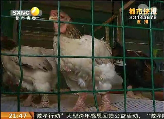 �L(zh��ng)���^(q��)�B(y��ng)ֳ��(ch��ng)���F(xi��n)��Ҋ(ji��n)�u ���ȹ��u��r(ji��)һ�f(w��n)��