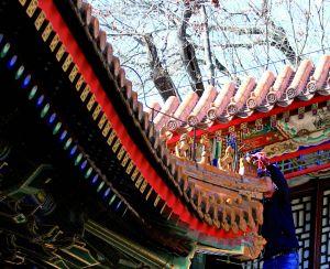 ����������l(f��)�F(xi��n)���U�͈@���Ƶ��������ݼ�߅��̎һ���T�P���ˡ�ȱʧ���˵ؾo����ɽ�������ο����ֿ��|�����ɘ�(g��u)�����I��ӛ������̽�L�������й����ˆT�ڬF(xi��n)��(ch��ng)�ޏ�(f��)���U�͈@����̎�Q��ȱʧ������(g��u)�����(f��)�Ƙ�(g��u)�����������L(f��ng)�����g�������L(f��ng)���������ο͓�ʰ��ԭ����Ȼ���������췿��