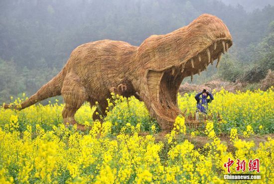 重慶油菜花地擺放大型稻草動物 吸眼球