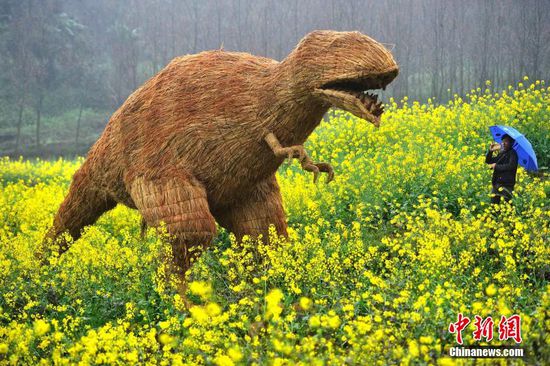 重慶油菜花地擺放大型稻草動物 吸眼球