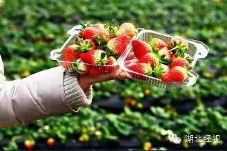 ��ݮ��ժ�@��؈ā������͵͵��ˎ �����u�o�ο�(�D)