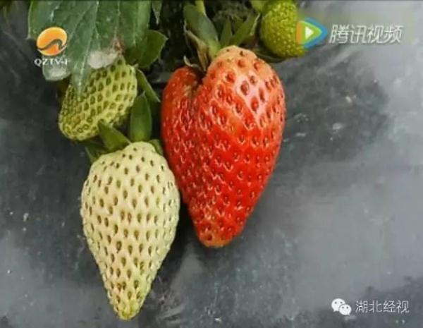 ��ݮ��ժ�@��؈ā������͵͵��ˎ �����u�o�ο�(�D)2