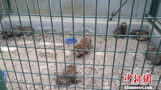 ������������{(l��n)�������¼��M�����ҵ�������380ֻ