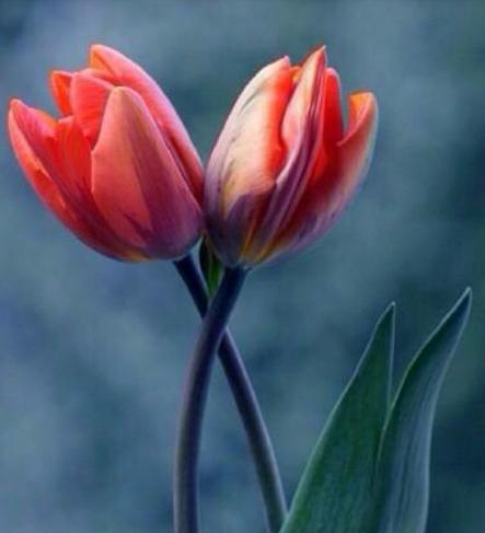 �DƬĬ�J(r��n)��(bi��o)�}