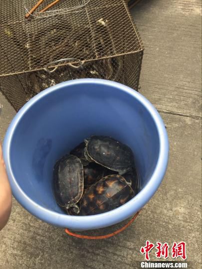 4��20�գ��������֘I(y��)�ֽM��ɭ�ֹ����Ȉ�(zh��)���ˆT��ͻ�u���r(n��ng)�w�ɼҲ��^����@Ұ����(d��ng)��һ�������ܞt�� �z