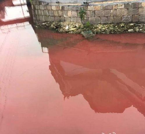 浙江寧波村莊河水一夜變紅 環(huán)保局:已清理(圖)