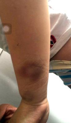 С�W(xu��)����δ������I(y��) ���w��̎���ώ����