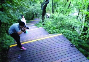 網友稱在紫金山木棧道上發(fā)現(xiàn)眼鏡蛇 圖片來自“南京阿槑”微博