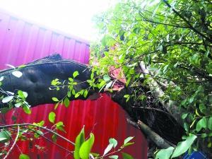 ˾�C(j��)�o(w��)��ײ�����֦����30�f(w��n) ����Q���L(f��ng)ˮ��(sh��)