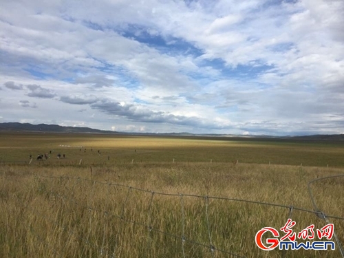 ���W(w��ng)�j(lu��)ý�w���D(zhu��n)�ġ������L(zh��ng)���D�U(xi��n)�� �_(k��i)���صء��Ҹ�����