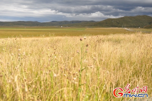 ���W(w��ng)�j(lu��)ý�w���D(zhu��n)�ġ������L(zh��ng)���D�U(xi��n)�� �_(k��i)���صء��Ҹ�����