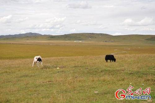 ���W(w��ng)�j(lu��)ý�w���D(zhu��n)�ġ������L(zh��ng)���D�U(xi��n)�� �_(k��i)���صء��Ҹ�����