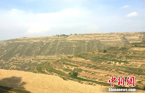 ��·���Ե����������¾W �N�� �z