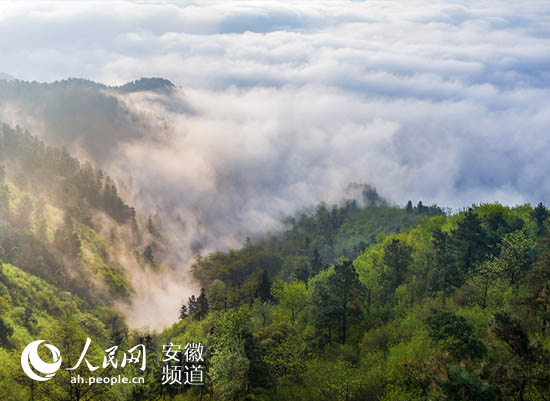 ���·��������`������ƪ�����ǣ����Gɫ���桱����l(f��)չ����