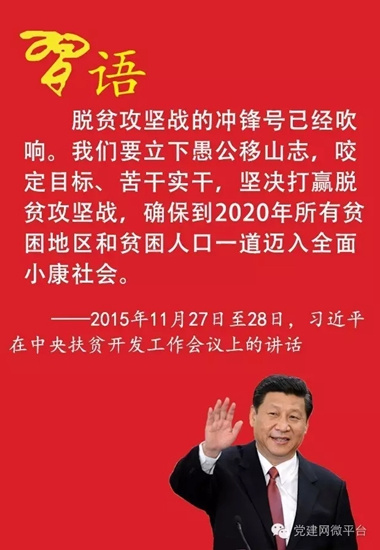 ��(x��)��ƽ����һȺ��