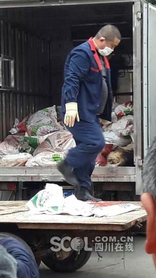 üɽ�Ж|�^(q��)�����(zh��n)�l(f��)����Ȯ������