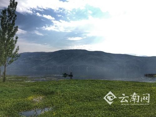 洱海拆除違建戶156戶關(guān)停餐飲客棧515戶