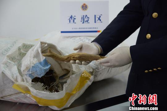 �x���]·�ڰ��״νث@���Ҷ���(j��)�lΣ��ϡֲ�����ľ