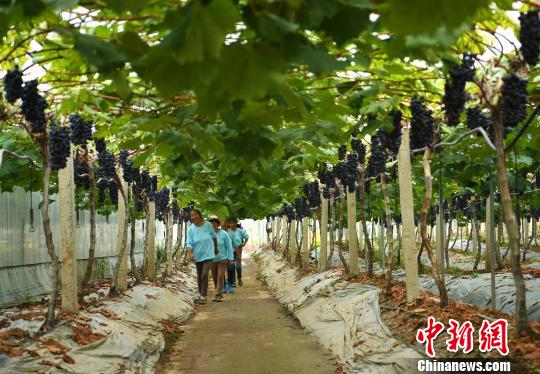 �ؑc���������l(xi��ng)���r(n��ng)�îa(ch��n)�I(y��)�r���Բ�ģʽ���������w��r(n��ng)�I(y��)