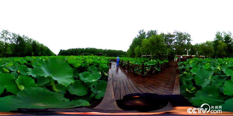 ���@һ��������ҕ�W ӛ�ߺδ��z��